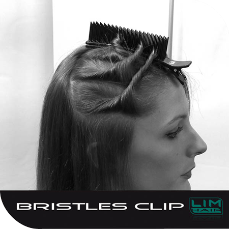 bristles clip sec3